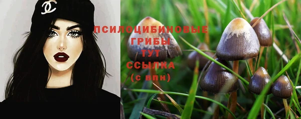 сатива Рославль