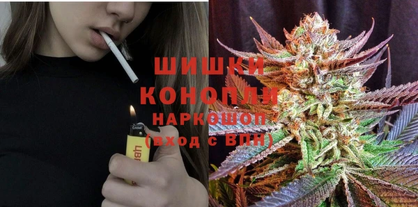 сатива Рославль