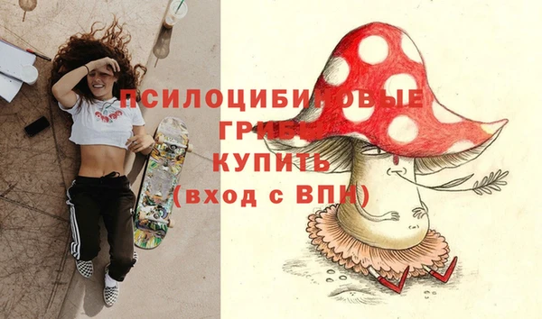 гашик Балабаново